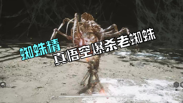 老蜘蛛还是不行了