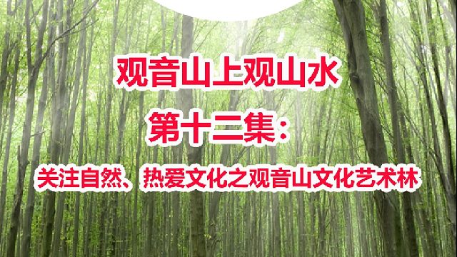 30集文旅系列专题片：观音山上观山水第12集