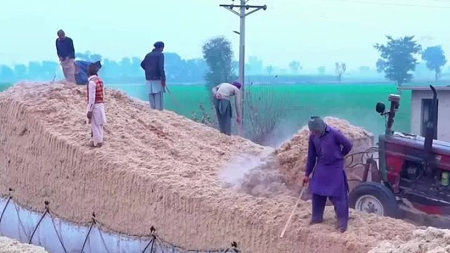 巴铁师傅利用平板挂车装载松散的甘蔗渣全过程