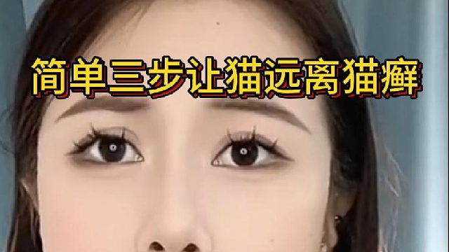 简单三步让猫远离猫癣