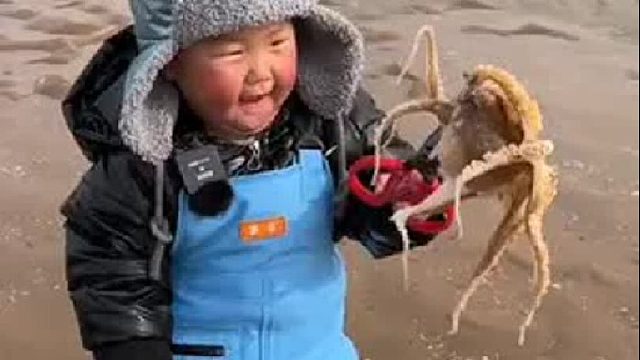 户外赶海抓海鲜