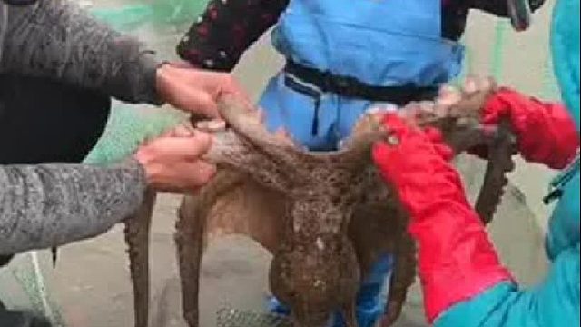 赶海赶海赶海啦