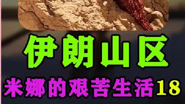 米娜的木头屋顶横梁搭建完成  (1)