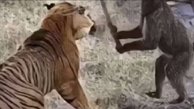 黑神话：悟空 虎先锋一周目无伤