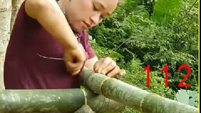 梦琪采摘硕大饱满的葡萄 饲养家禽 收集空中洋葱