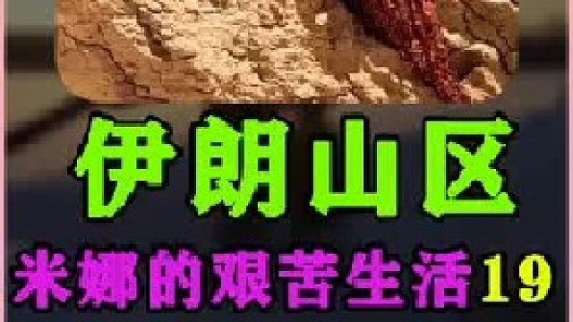 木梁屋顶基本建造完成 (3)