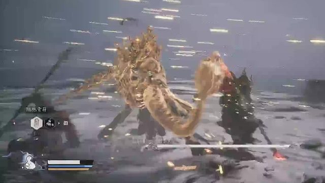 2024.9.4 直播录像 青背龙 48级30分钟