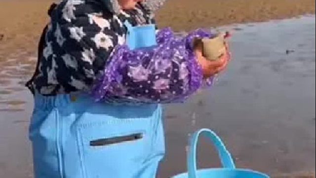 户外赶海抓海鲜