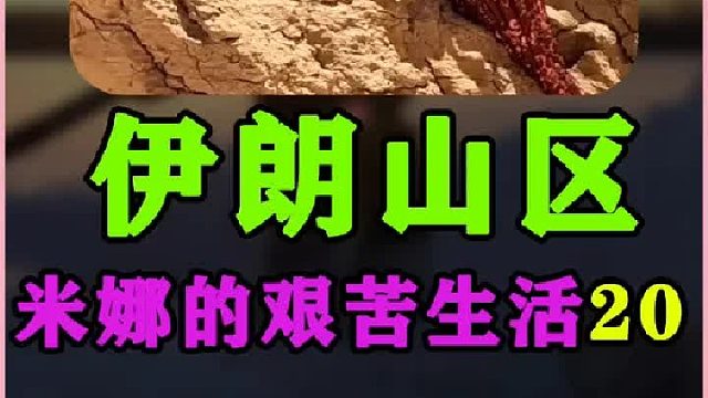 米娜新屋屋顶建造完成  (1)