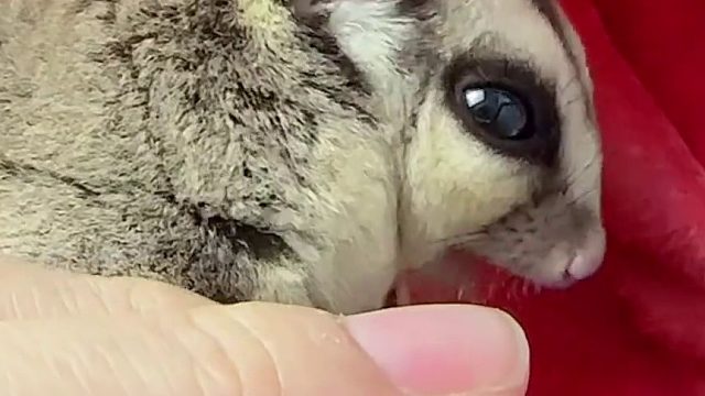 日子平淡，好在我喜欢～