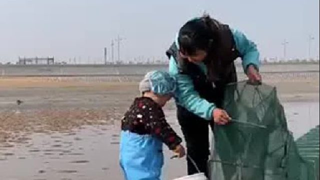 户外赶海抓海鲜
