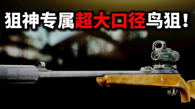 狙神专属超大口径鸟狙！逃离塔科夫