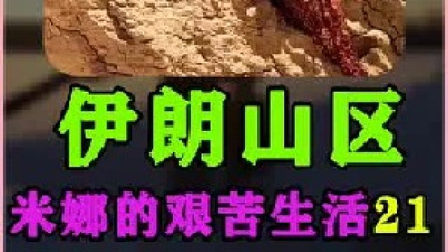 米娜带着孩子们到城里买生活用品和衣物  (1)