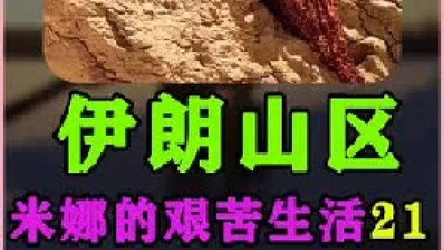 米娜带着孩子们到城里买生活用品和衣物  (2)