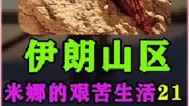 米娜带着孩子们到城里买生活用品和衣物  (3)