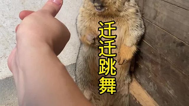 迁迁来给大家跳个舞助助兴