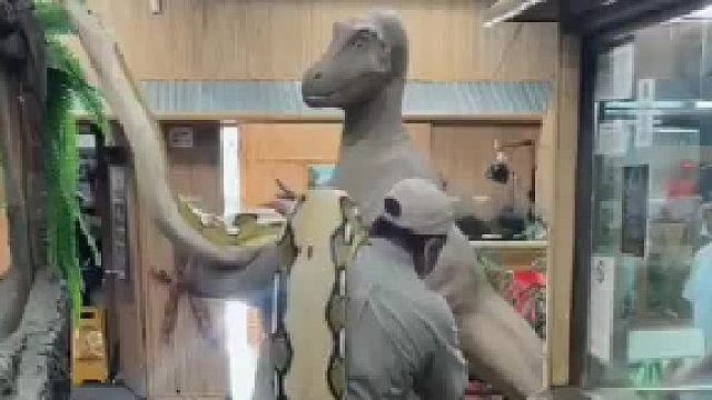 动物园里的蛇待遇就是好啊，都不用自己爬，直接被抗着走