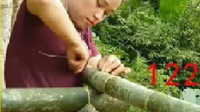 梦琪爬上椰子树采摘果实 并带往集市进行售卖 饲养家禽