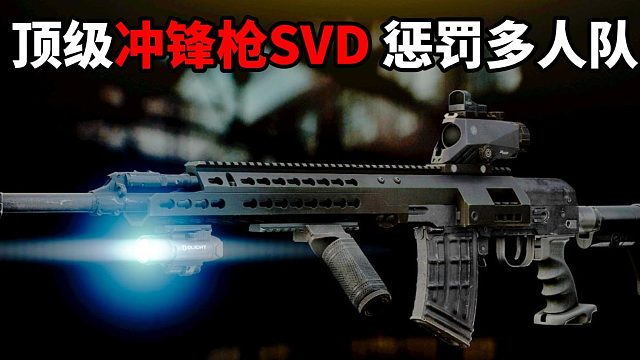 顶级冲锋枪SVD 惩罚多人队 逃离塔科夫