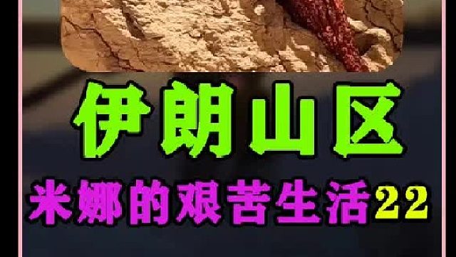 米娜制作伊朗卷饼 建造屋檐  (1)