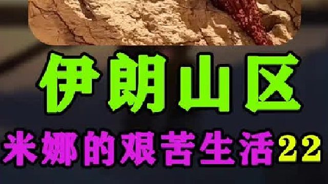米娜制作伊朗卷饼 建造屋檐  (2)