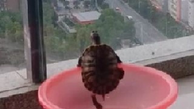 分享给可爱且有趣的人