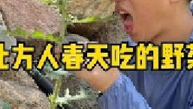 实拍了咱们北方人春天吃的野菜，随着时光的流逝，有些已经吃不到了。你还知道哪些呢？欢迎补充。