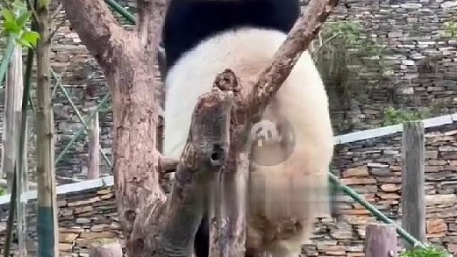 终于下班了！这破班谁爱上谁上！