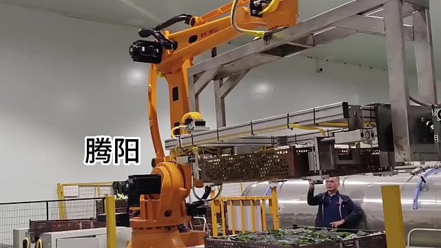 腾阳码垛机，智能、高效、便捷！