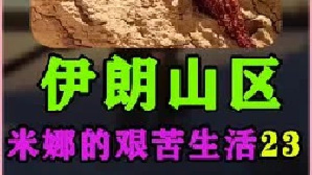 米娜的新房粉刷水泥完成  (2)