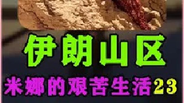 米娜的新房粉刷水泥完成  (3)