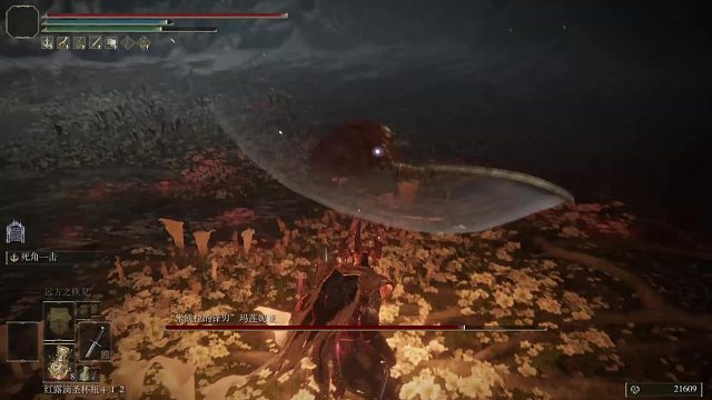 只环，莲逝二度