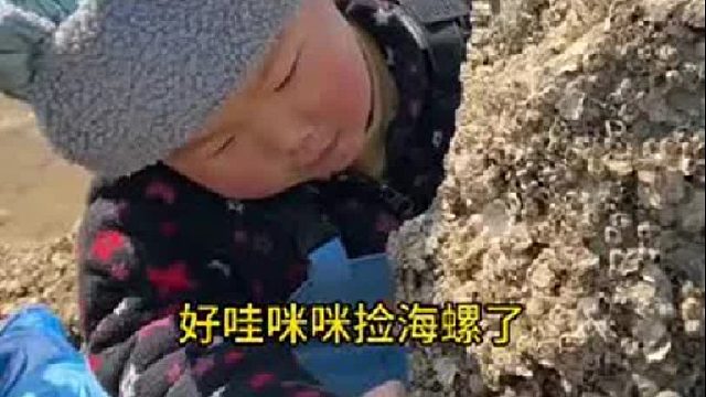 户外赶海抓海鲜