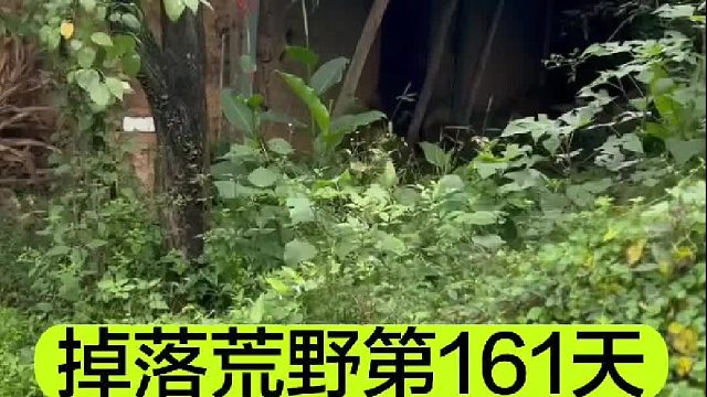 掉落荒野的第161天我在新家园遭遇了驱赶