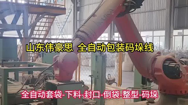 烟台智能包装码垛系统 炭粉全自动包装码垛机
