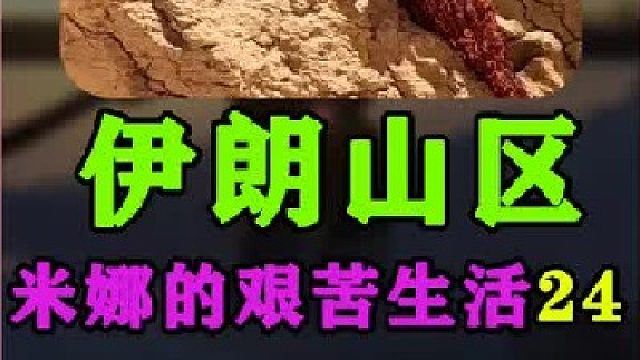 米娜为新家买了门窗  (1)