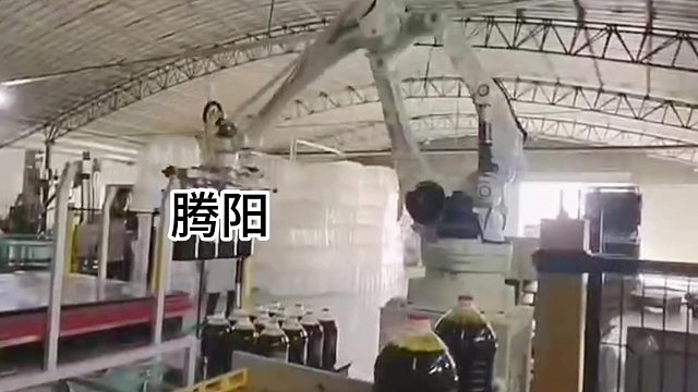 腾阳智能码垛机，满足你的全方位需求~