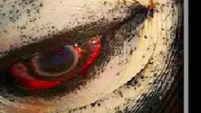 神秘数字“12”可能是解开宇宙的密码（下）