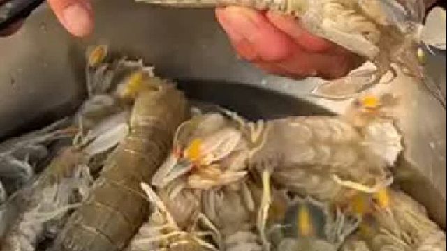 带你去体验渔民的生活