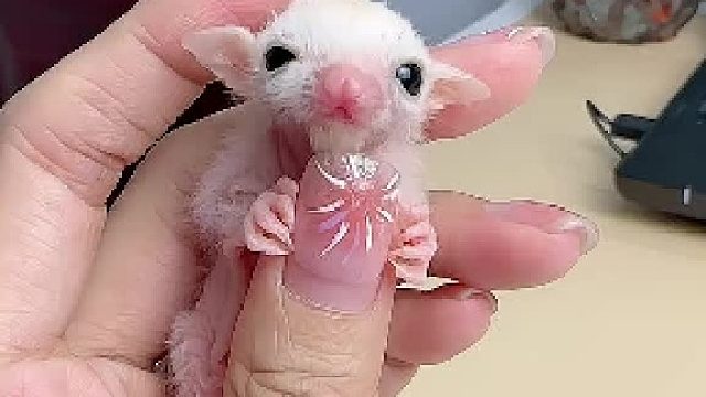 这样看，还是挺好看的