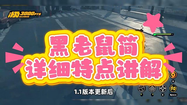 黑老鼠简详细特别讲解