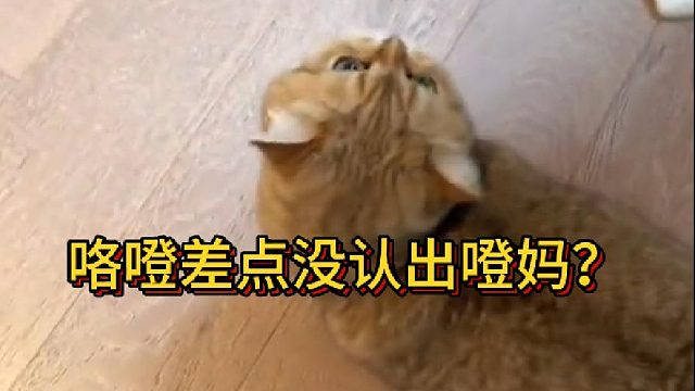 咯噔差点没认出噔妈？(1)