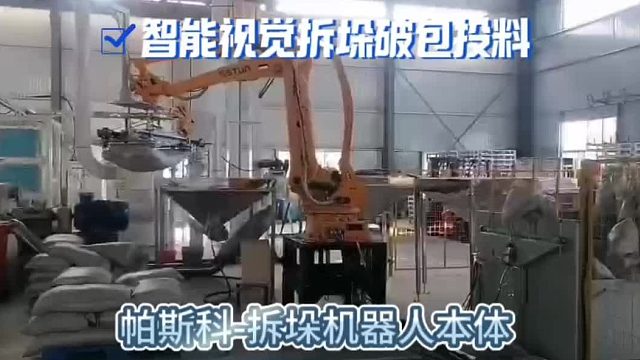 帕斯科拆垛机本体-智能视觉 稳定高效