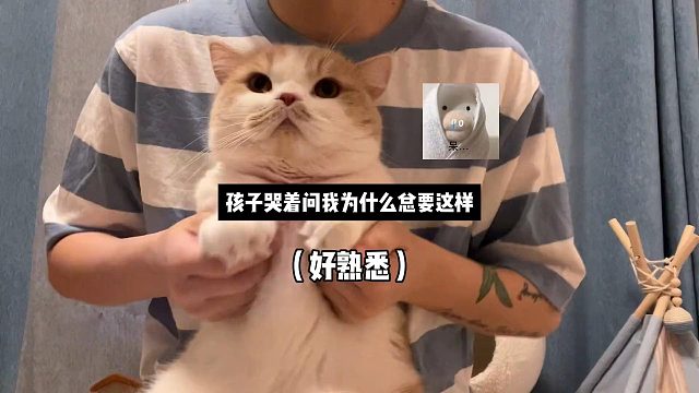 孩子哭着问我为什么总要这样