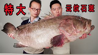 買一條50幾斤的巨大油斑，用麻辣油潑、清粥涮都非常頂