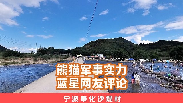 蓝星网友评论熊猫军事实力