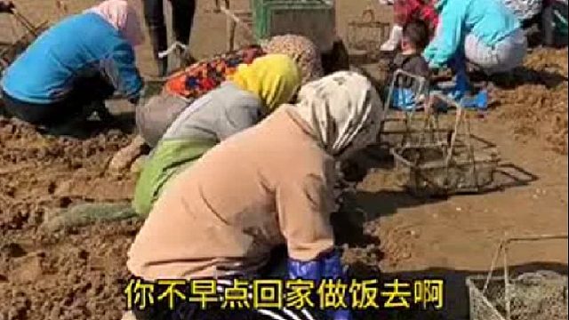 赶海赶海赶海啦