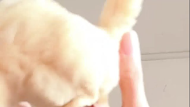 你可慢点吧，差点就从屏幕里飞出来了