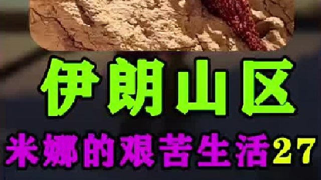 米娜的新房建造完成