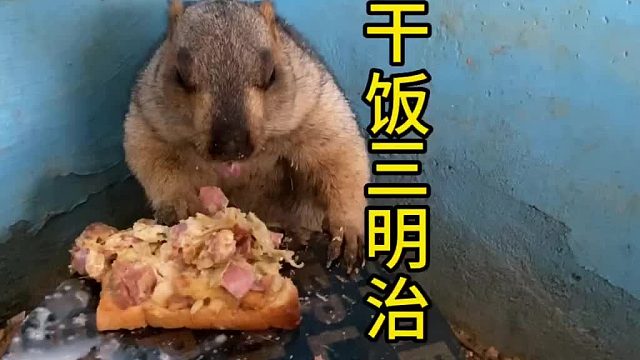 两耳不闻窗外事，一心只干圣贤饭。